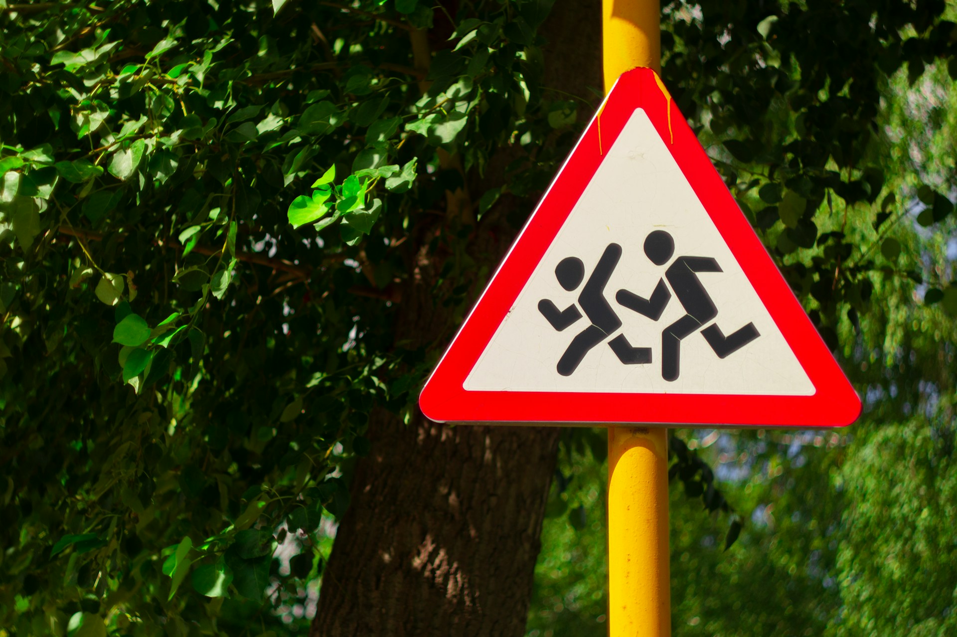 How Custom Traffic Signs Are Made: Behind the Scenes at a North Carolina Shop