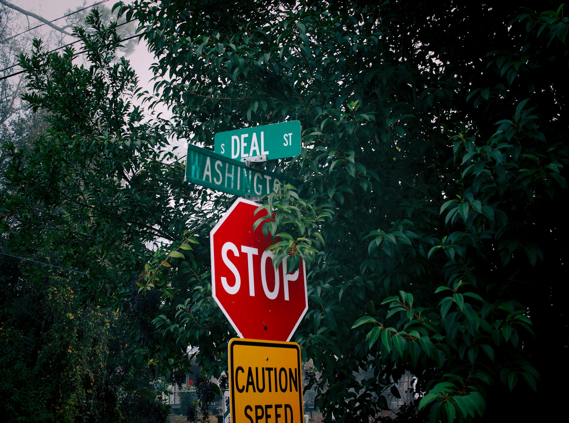 Maximizing Brand Impact Through Custom Signage Placement