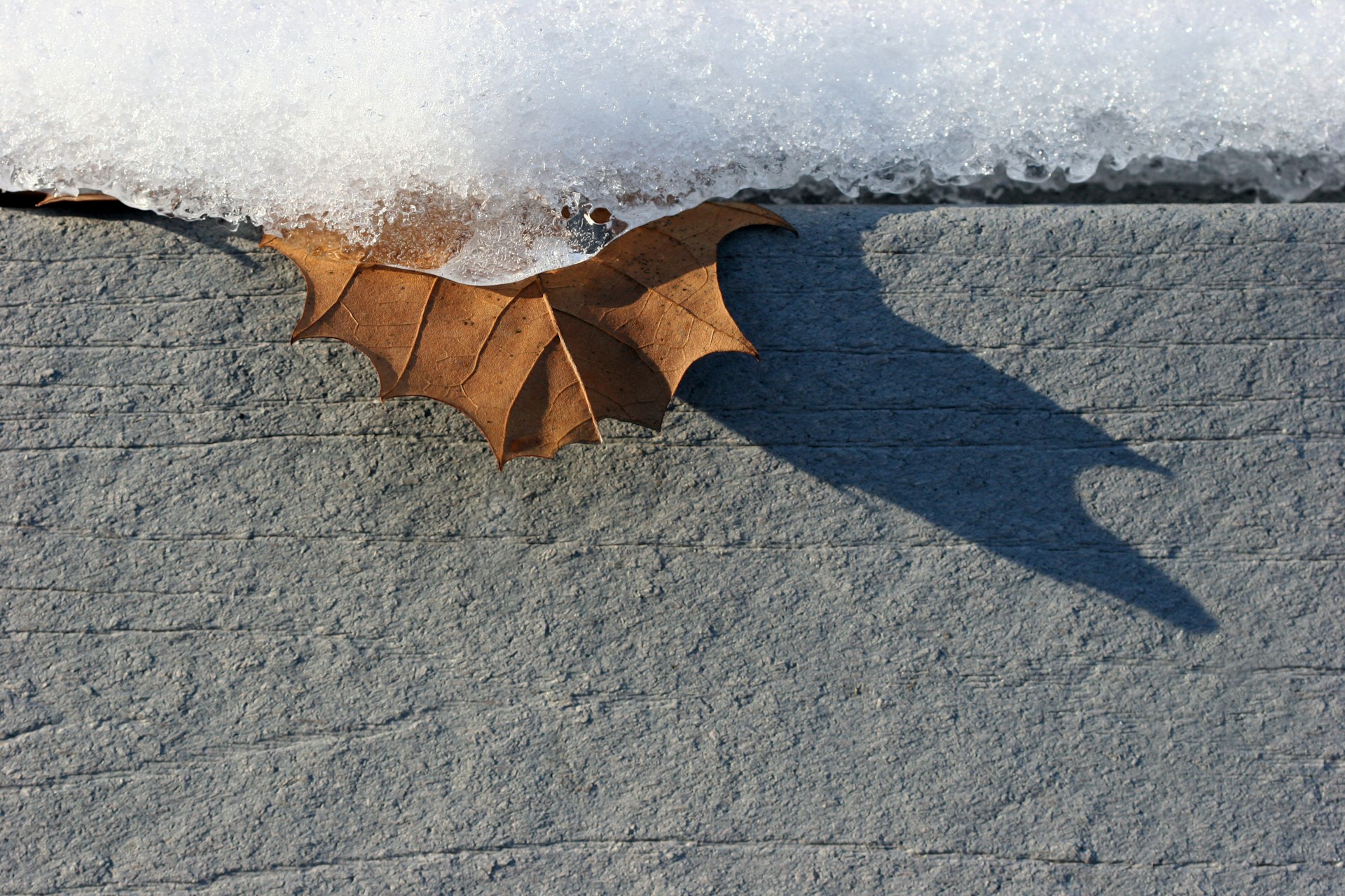 Addressing Winter Damage to Pavement Surfaces